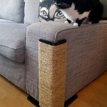 How To Keep Cat From Scratching Leather Couch