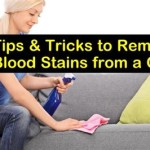 How To Remove Blood From Couch