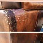 How To Repair Cat Scratched Leather Couch