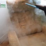 Steam Clean Couch Before And After